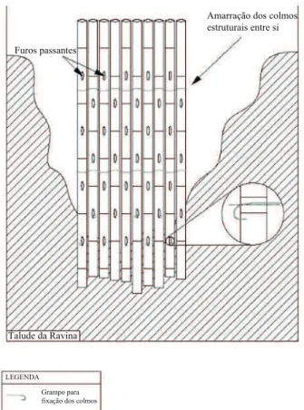 FIGURE 4:  Illustration  of  structural  stalks  of  bamboo,  fixed  to  the  ground  and  secured by steel clips.