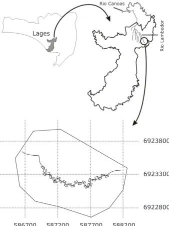 FIGURA 1:  Localização do município de Lages no  estado de Santa Catarina e da área do  presente estudo.