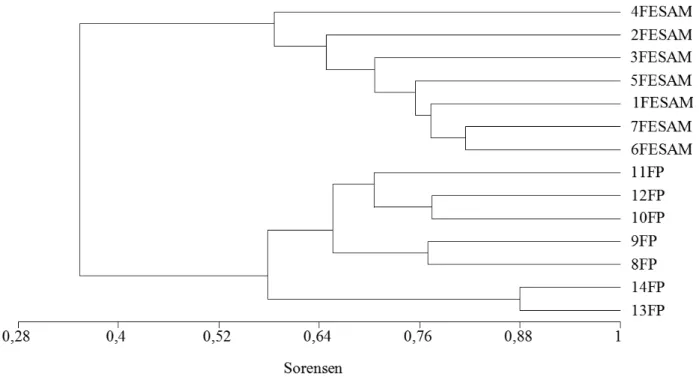 FIGURE 5:  Cluster analysis dendrogram of non-weighed pair group arithmetic average clustering method  (UPGMA) of floristic similarity (binary Sørensen) among the studied forests fragments, Swamp  Forest (SF) and Upper Montane Semideciduos Forest (UMSF), b