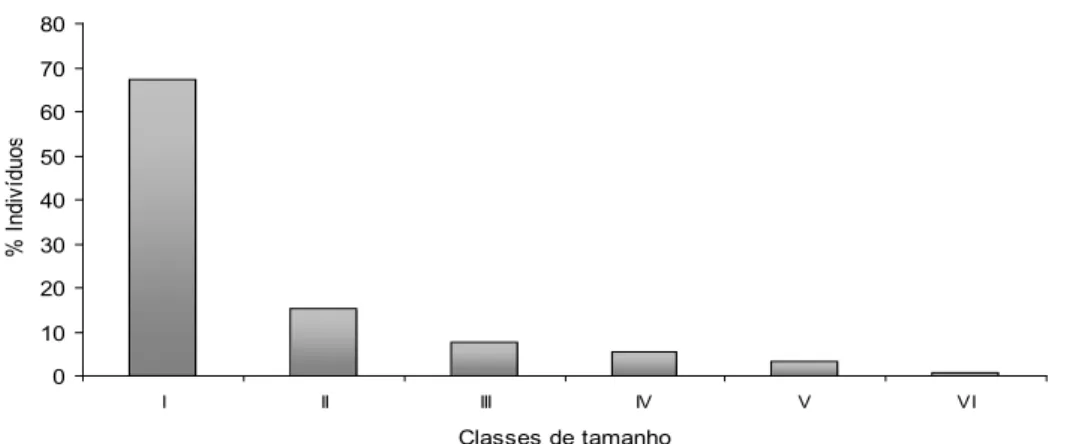 FIGURA 3:  Distribuição  dos  indivíduos  no  banco  de  plântulas  e  regeneração  natural  estabelecida  por  classe de tamanho em remanescente de Floresta Estacional Decidual, Santa Maria, RS
