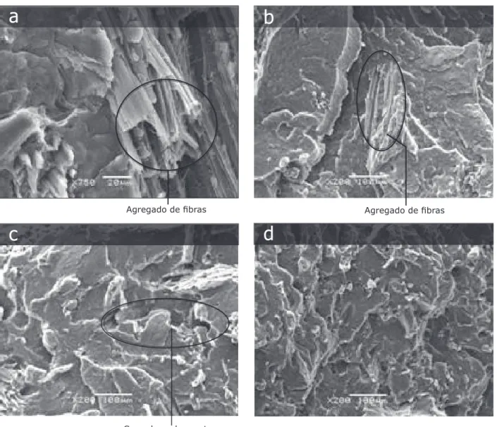 FIGURA 3:  Micrografias  das  superfícies  de  fratura  dos  compósitos  confeccionados  com  v-HDPE  e  diferentes tipos de serragem.