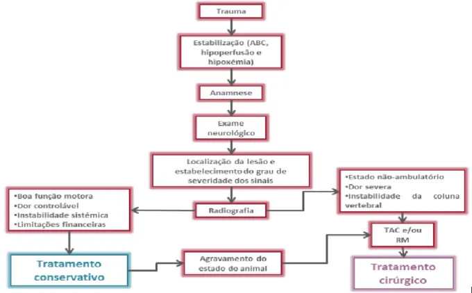 Figura 6 Abordagem diagnóstica sistemática.  