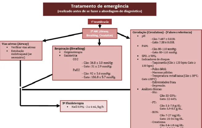 Figura 8. Tratamento de urgência de trauma espinal 