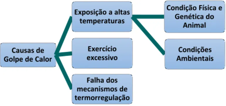 Figura 4. Causas de golpe de calor. 