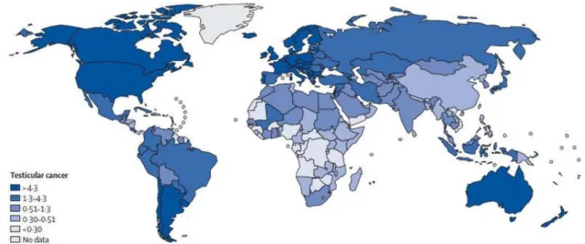 Figure 1 Global incidence of Testicular Germ Cell Tumors. Adapted from [9]. 