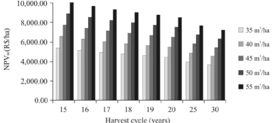 Figure 5 – NPV  behavior depending on changes in timber productivity in a fragment, at an 8% interest rate a year.