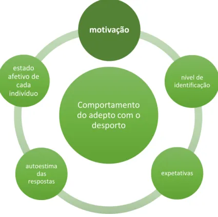 Figura 3 Modelo de comportamento do adepto com o desporto 