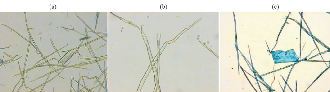 Table 2 – Wood and bark  ﬁ  ber length (mm) for Acacia melanoxylon  in four sites. Mean and standard deviation of  ﬁ  ve trees per site.