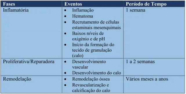 Tabela 1 – Fases da cicatrização óssea: inflamatória, proliferativa e de remodelação (Adaptado de Corrarino &amp; Rn,  2015)