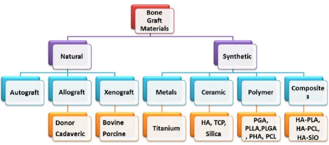 Figura  2  -  Esquema  dos  diferentes  materiais  de  enxerto  consoante  a  sua  origem  natural  ou  sintética  (Adaptado de Sharif, Ur, Muhammad, &amp; Macneil, 2016)