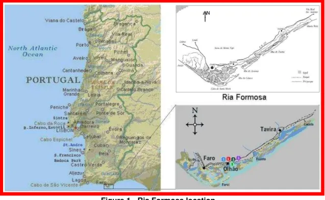 Figure 1 - Ria Formosa location  
