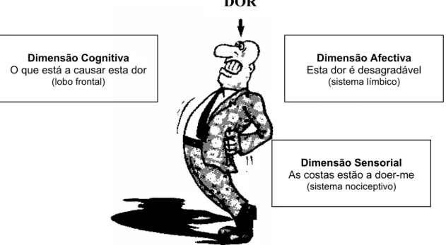 Figura 6. As dimensões da dor  (adaptado de Johnson, 2005, p. 36).