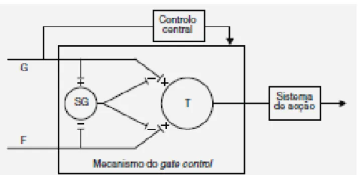 Figura 1 - Mecanismo da Teoria do Portão 