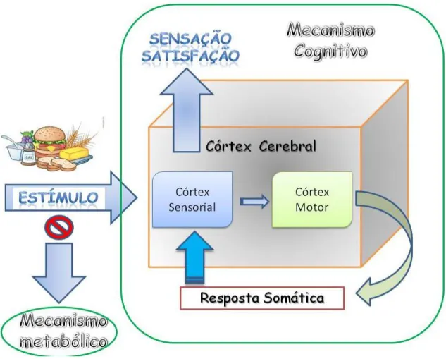 Figura  2.2.  –  Sobreposição  do  mecanismo  cognitivo  ao  mecanismo  metabólico  no  controlo  do  apetite