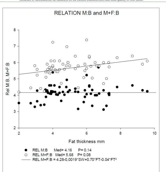 Figure 3 - Relationship between muscle:bone and muscle+fat:bone ratios based on the fat thickness of steers finished  in a feedlot and slaughtered at 2 years of age