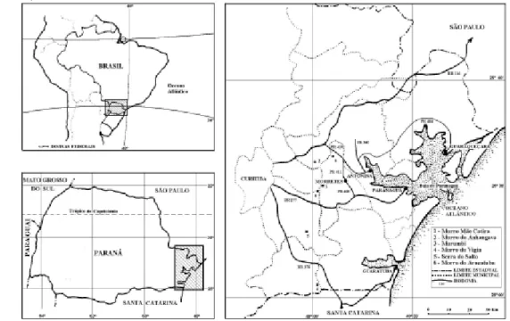 FIGURE 1: Localization of the Dense Upper Mountain Rain Forest sampled. 
