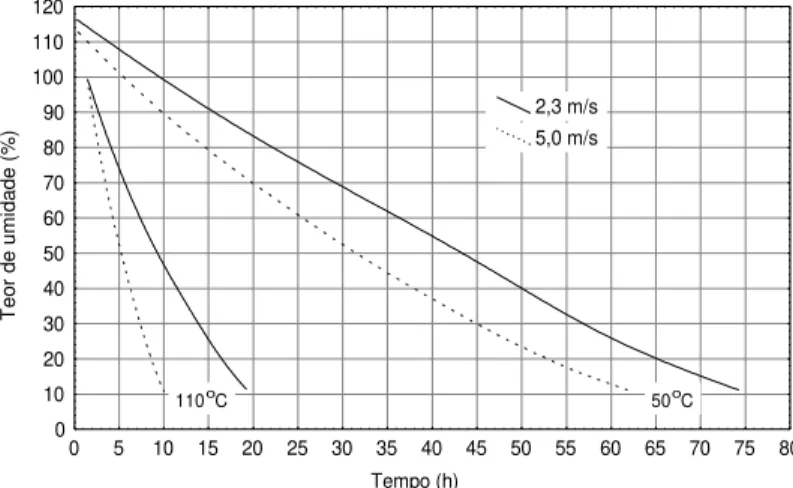 TABLE 1: Drying schedules used for the temperatures of 50 and 110 0 C. 