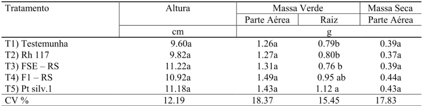 TABELA 2:  Altura, massa verde da parte aérea e radicular, e massa seca da parte aérea, em mudas de pinus inoculadas  com  fungos  ectomicorrízicos,  produzidas  em  solo  arenoso,  Santa  Maria,  RS, UFSM, 2002.