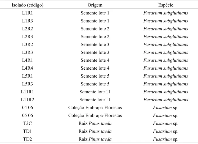 TABLE 1:   List of isolates of Fusarium spp. obtained from seeds and roots of Pinus taeda