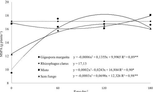 FIGURE 1: Height of paricá seedlings in function of arbuscular mycorrhizal fungi (AMF) and phosphate  fertilization, at the age of seventy-five days after sowing