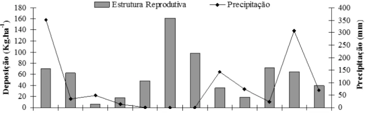 FIGURE 2: Deposition fraction of reproductive structure of litter and rainfall in an area of Caatinga in  the  ranch ‘Riachão’, city of Pombal, PB state.