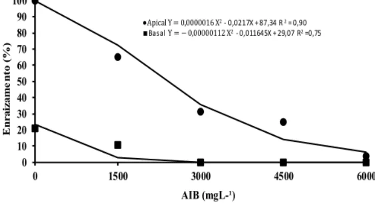 FIGURA 4: Enraizamento (%) de miniestacas basais e apicais de canafístula (Peltophorum dubium)  tratadas com AIB nas concentrações de 0, 1500, 3000, 4500 e 6000 mg L -1 , aos 40 dias de  estaqueamento.