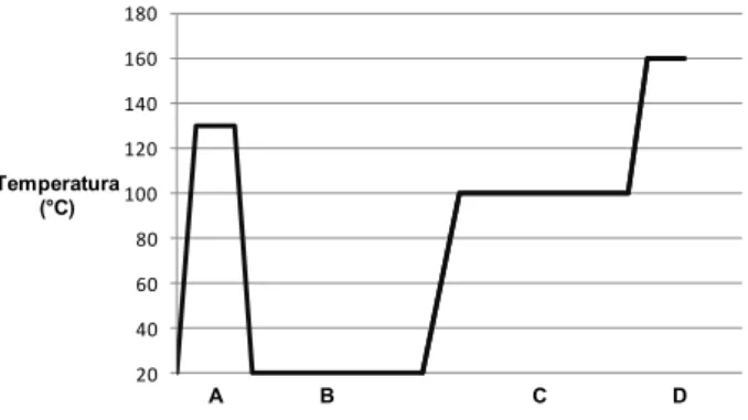 FIGURA 1: Fases dos tratamentos de combinação e estufa: A + B = Tratamento em estufa; A + B + C  + D = Tratamento combinado