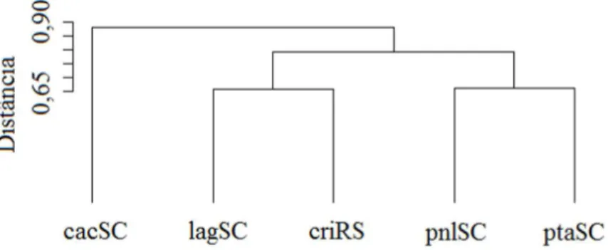 FIGURE 5: Dendrogram generated from the Bray-Curtis similarity index through the unweighted average  clustering algorithm method (UPGMA) of the five studied areas