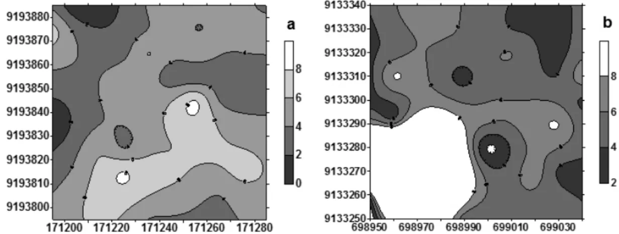 FIGURE 4: Contoured map of the spatial distribution of height classes of Cereus jamacaru DC