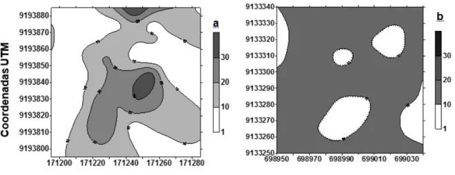 FIGURE 6. Contoured map of the spatial distribution of diameter classes of Cereus jamacaru DC