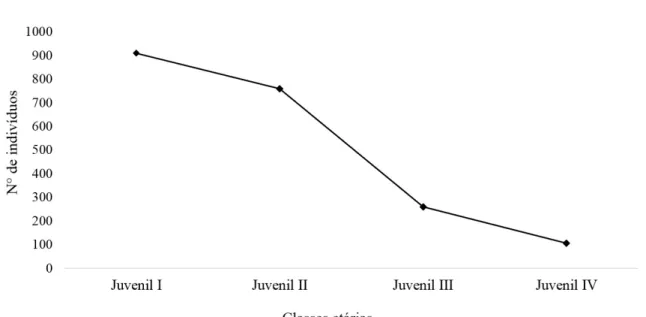 FIGURA 3: Frequência de indivíduos de  Ocotea odorifera pertencentes às classes etárias I, II, III e IV  (N=2033)