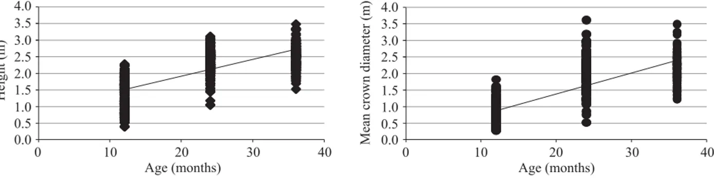 Figure 1 – Data scatter concerning height and crown diameter of a physic nut crop according to age in months.