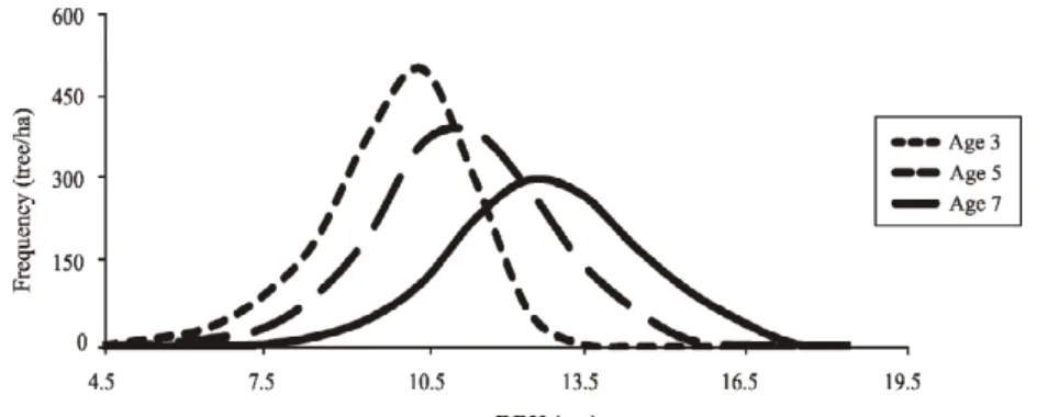 Figure 2 – Diameter evolution in the Eucalyptus urophylla stand, as predicted by the Weibull function, from year three to year five and then to year seven.