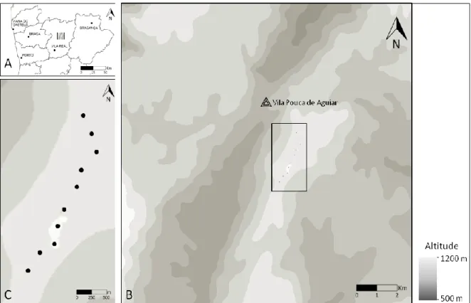 Figura 7 – Localização da área de estudo em Portugal Continental (A). Localização do parque eólico  do  Negrelo  e  Guilhado,  dentro  da  área  de  estudo  (B)