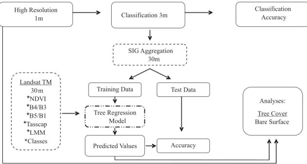 Figure 2 – Flow charts of the strategy for deriving 30 m tree cover and bare surface data.