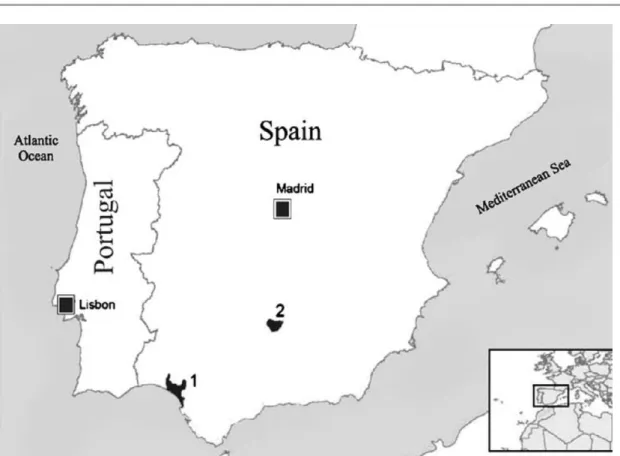 Figure  2:  Current  Iberian  lynx  distribution  in  Spain  adapted  from  Sarmento  et  al