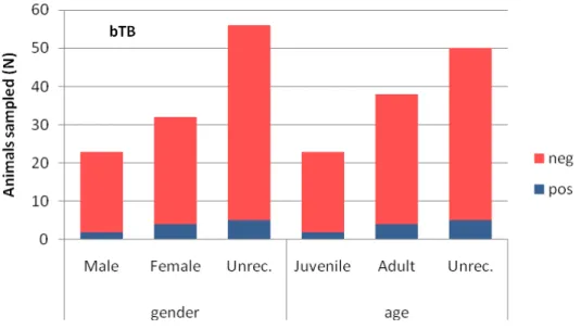 Figure 12: Wild boar serology results in which antibodies against bovine tuberculosis agent  (Mycobacterium bovis) were detected depending on age and gender classes