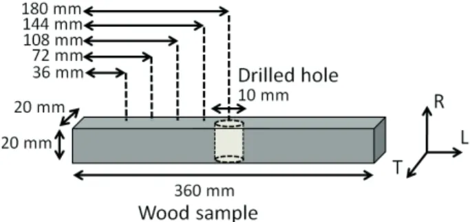 FIGURE 1 FIGURA 1