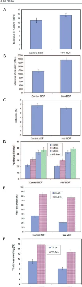 FIGURE 6 SEM micrographs of the surface of the NW-MDF  (A) and the controls panels (B)