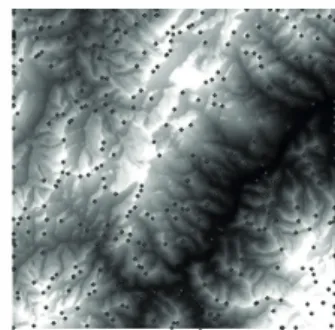 FIGURE 2  Product generated in the second step: the top point  of the hills.