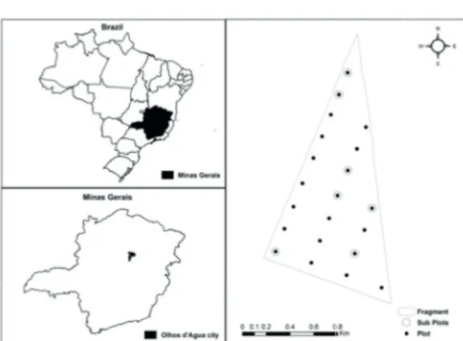 FIGURE 1 Map illustrating the location of the study area.