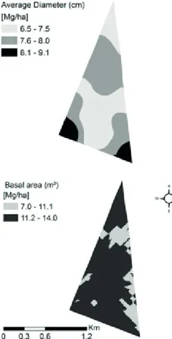 FIGURE 6  Spatial distribution of average diameter and basal area.