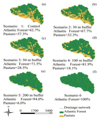 FIGURE 2 Scenarios of riparian buffer (Atlantic Forest)  for the LW to evaluate hydrologic components  through DHSVM.