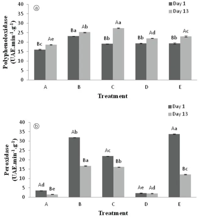 Figure 1. Polyphenoloxidase (a) and peroxidase (b) activities in MPAs treated with turnip extract and xanthan gum on the 1 st  and  the 13 th  days of storage at 4±1 °C