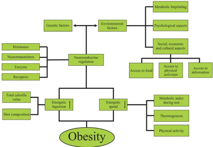 Figure 8. Genetic, epigenetic and environmental factors in action in the origin and progress of obesity