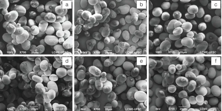 Figure 1. Scanning electron micrographs (x700) of the isolated bean starches: BRS Embaixador (a); BRS Pitanga (b); BRS Estilo  (c); Pérola (d); BRS Campeiro (e); BRS Esplendor (f).