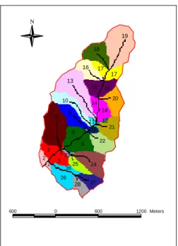 Figura  8  -  Divisão  da  bacia  hidrográfica  de  estudo  em  sub-bacias  fornecida  pelo  módulo  FlowNet  Generator,  para  o  DEM  com  resolução de 1m