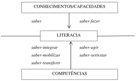 Figura 2 - Os quatro quadrantes da literacia (Adaptado de Gomes &amp; Lima Santos, 2005a)