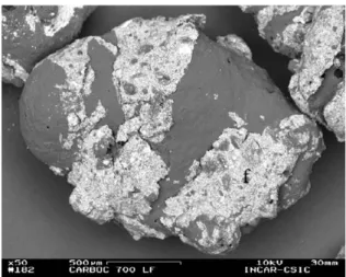 Fig. 3. Col 700 °C — SEM micrograph (×50; backscattered electron mode) — rounded and swelled particle covered by layers of fines (f) composed by organic and mineral matter.