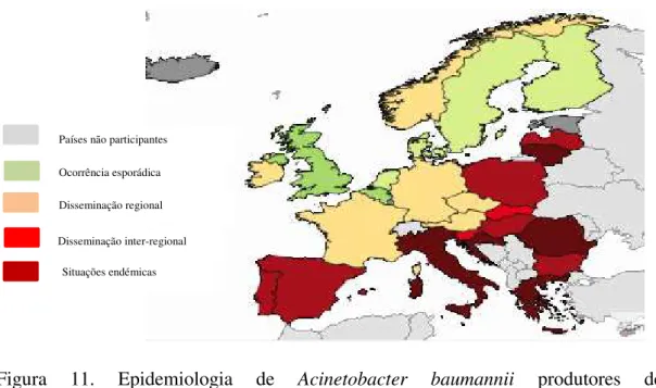 Figura  11.  Epidemiologia  de  Acinetobacter  baumannii  produtores  de  carbapenemases  na  Europa  (adaptado  de  ECDC,  2015)